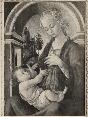 Anonimo — Filipepi Alessandro - sec. XV - Madonna con Bambino — insieme